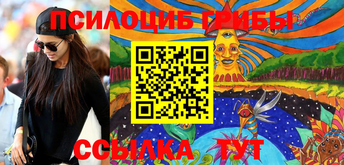 Псилоцибиновые грибы Psilocybine cubensis Каспийск